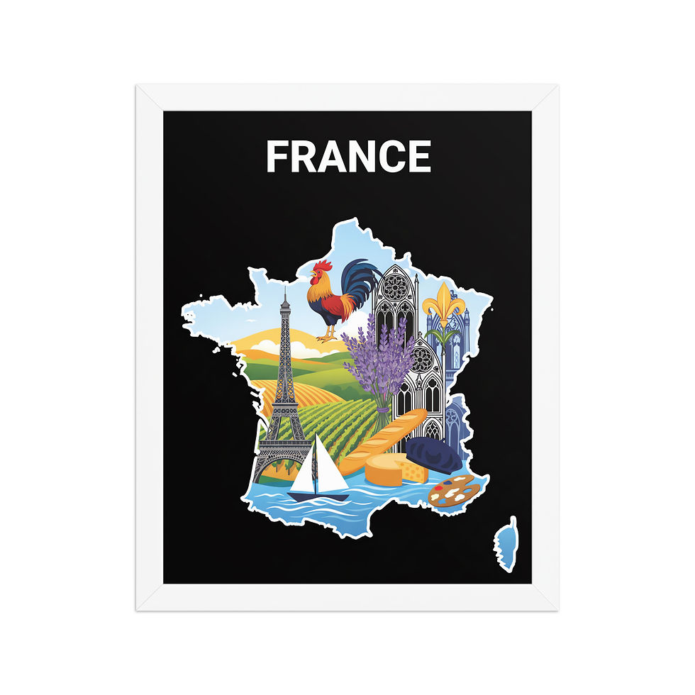 Thumbnail: Minimalist Map of France Framed Map Art