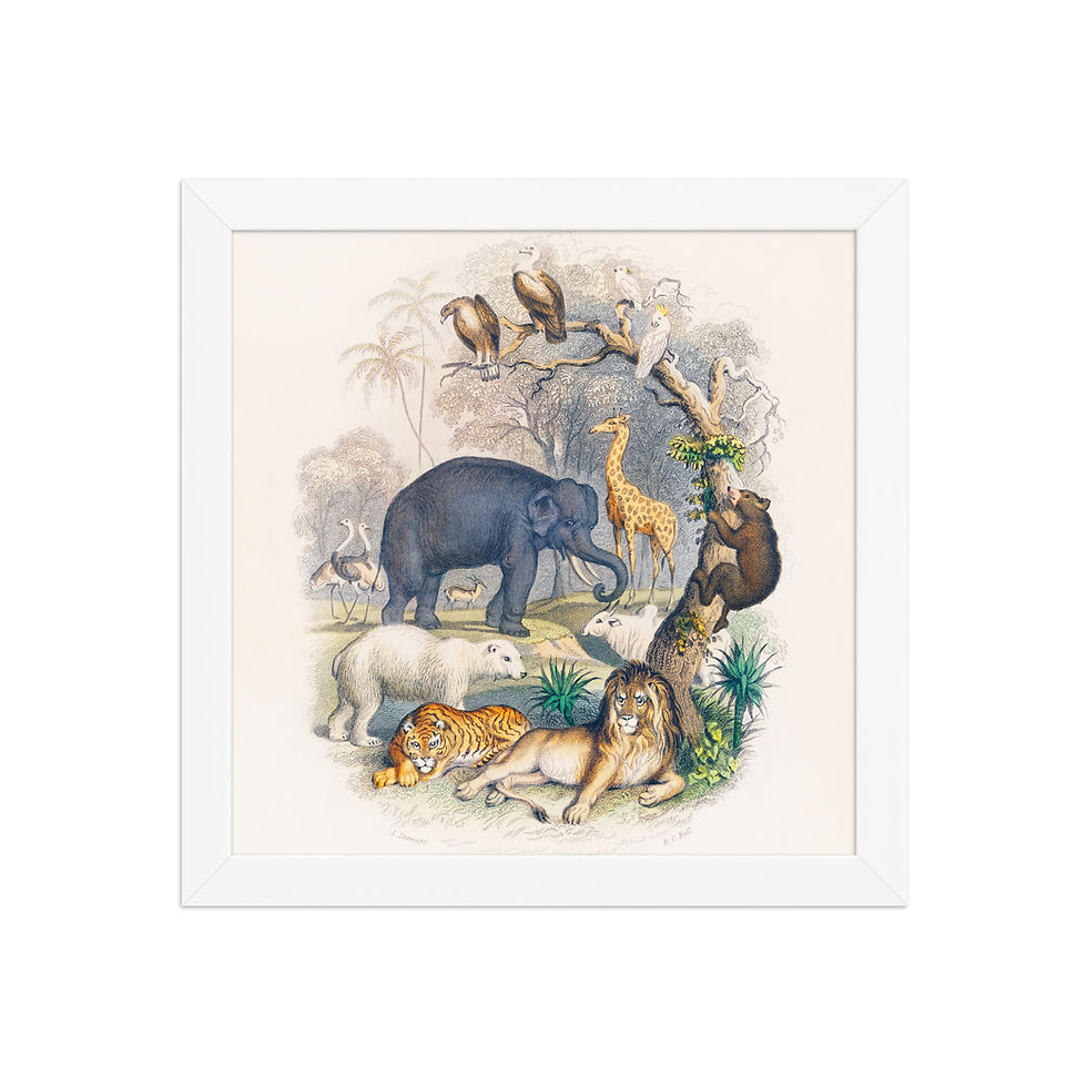 Thumbnail: Framed Wildlife Art for Living Rooms