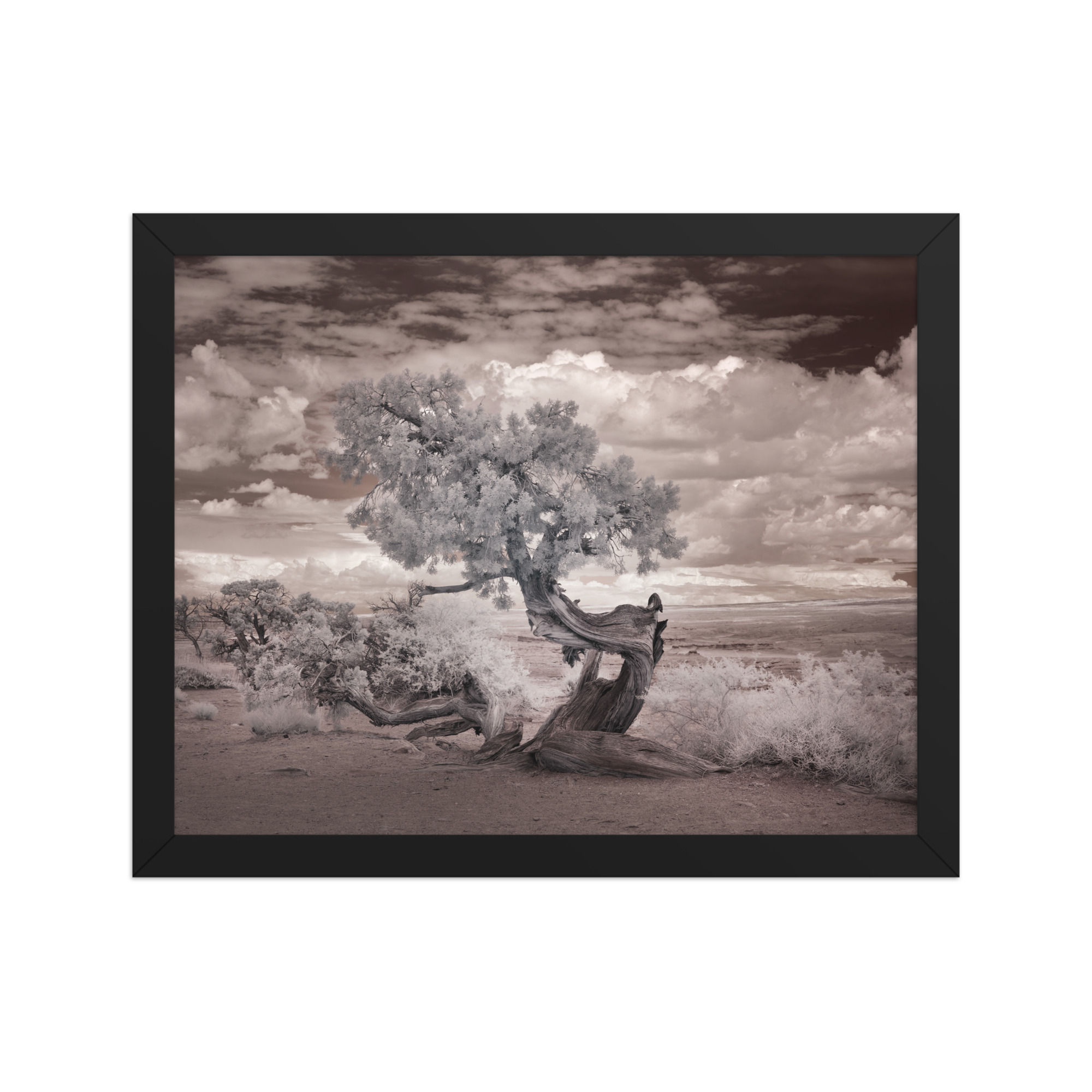 Timeless Resilience Framed Wall Art for Tranquil Elegance