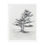 Thumbnail: Tranquil Nature Black and White Illustration - Framed