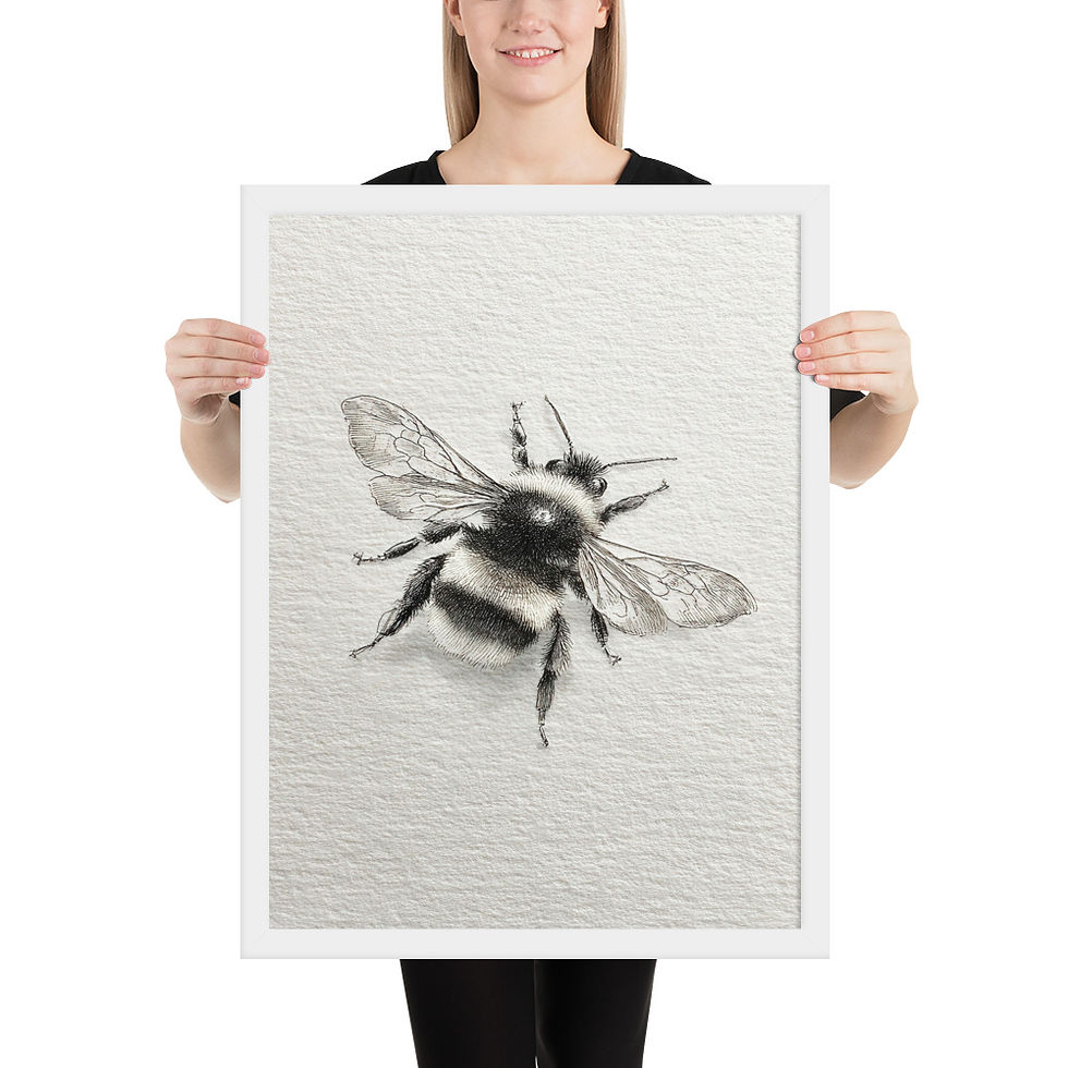 Thumbnail: Bumblebee Sketch Print | Minimalist Insect Wall Art Monochrome Framed Decor