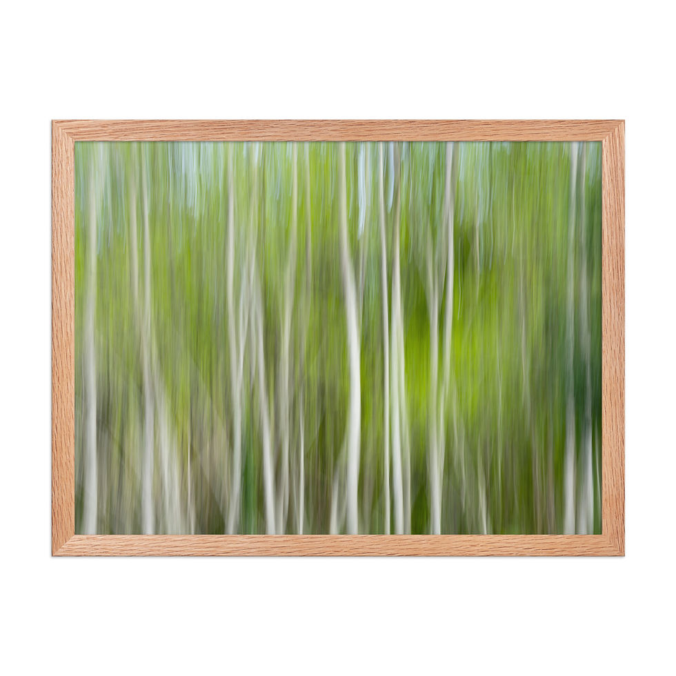Thumbnail: Ethereal Forest Abstract Fine Art Photography Print by Frameifi, framed art depicting white tree trunks with a vibrant green backdrop, ideal framed wall art.