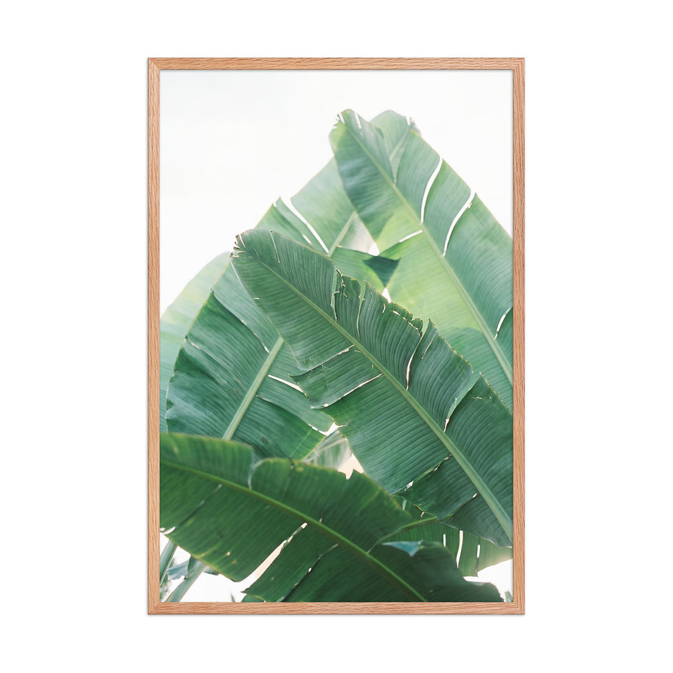 Thumbnail: Tropical Banana Leaf Photography Framed Wall Art