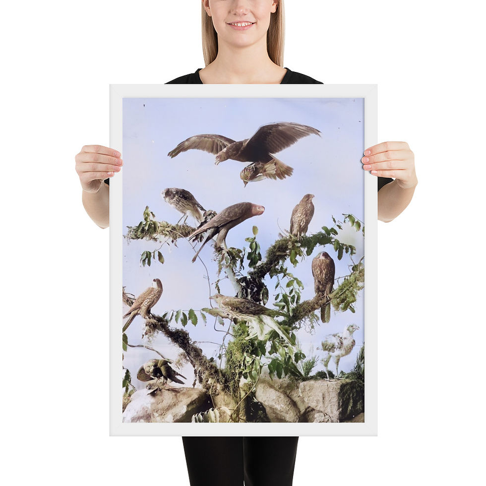 Thumbnail: Vintage Photography Print