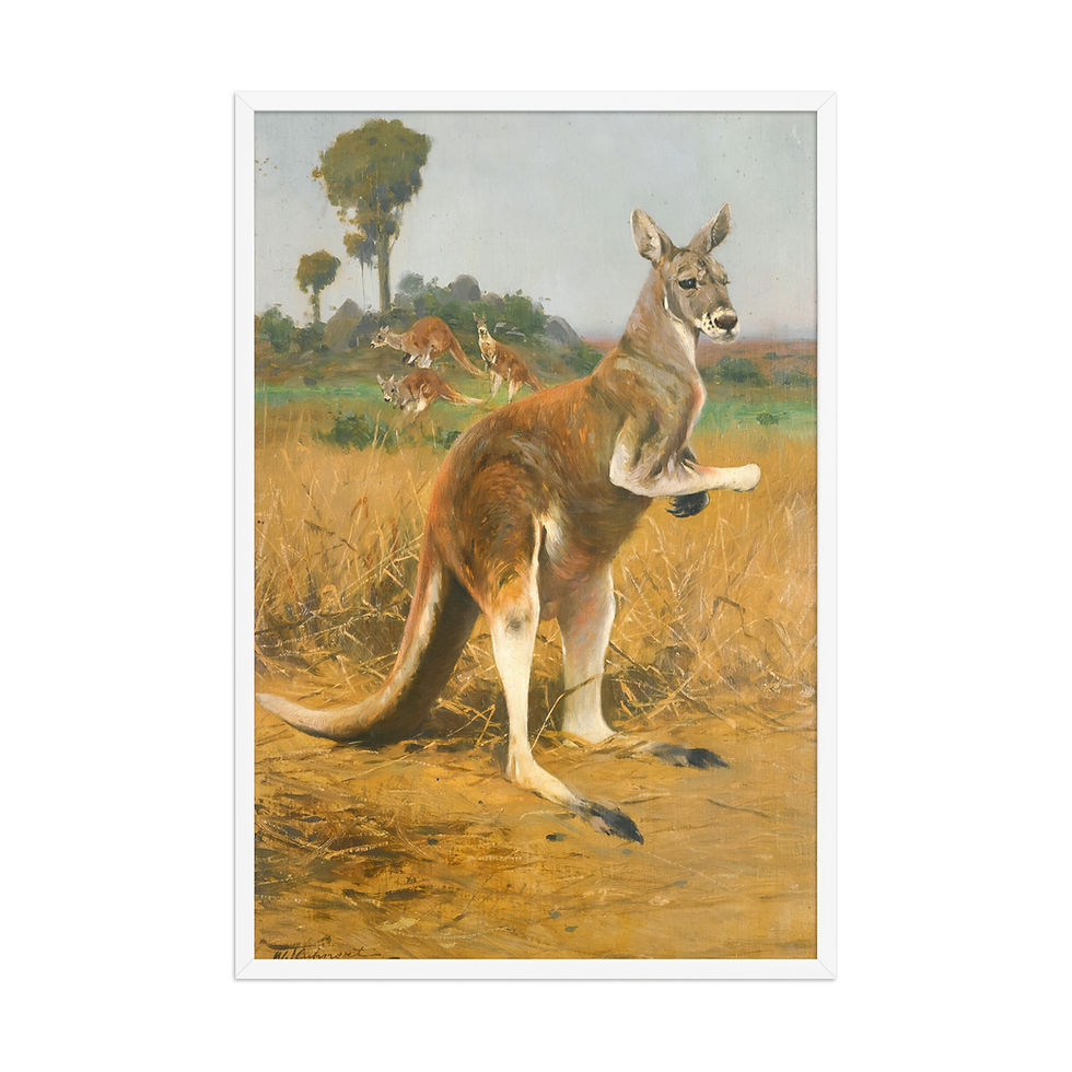 Thumbnail: Framed vintage kangaroo portrait, Frameifi, Alert Sentinel by Wilhelm Kuhnert, framed wall art, warm colors, wall art, framed poster, framed art.
