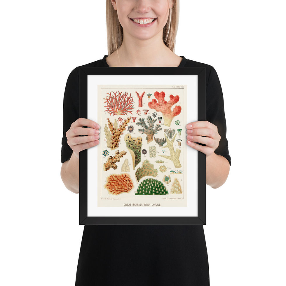 Thumbnail: Barrier Reef Corals Framed Biophilic Framed Print
