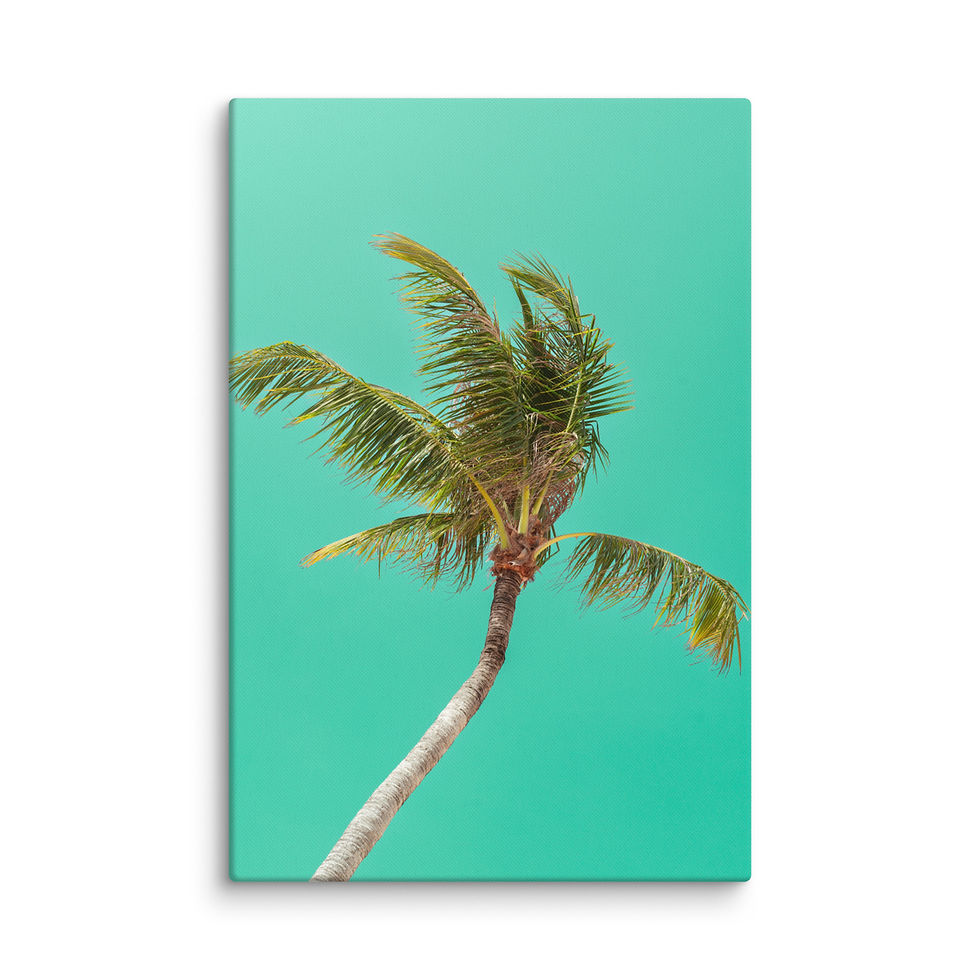 Thumbnail: Lean Palm — Turquoise Sky Palm Canvas