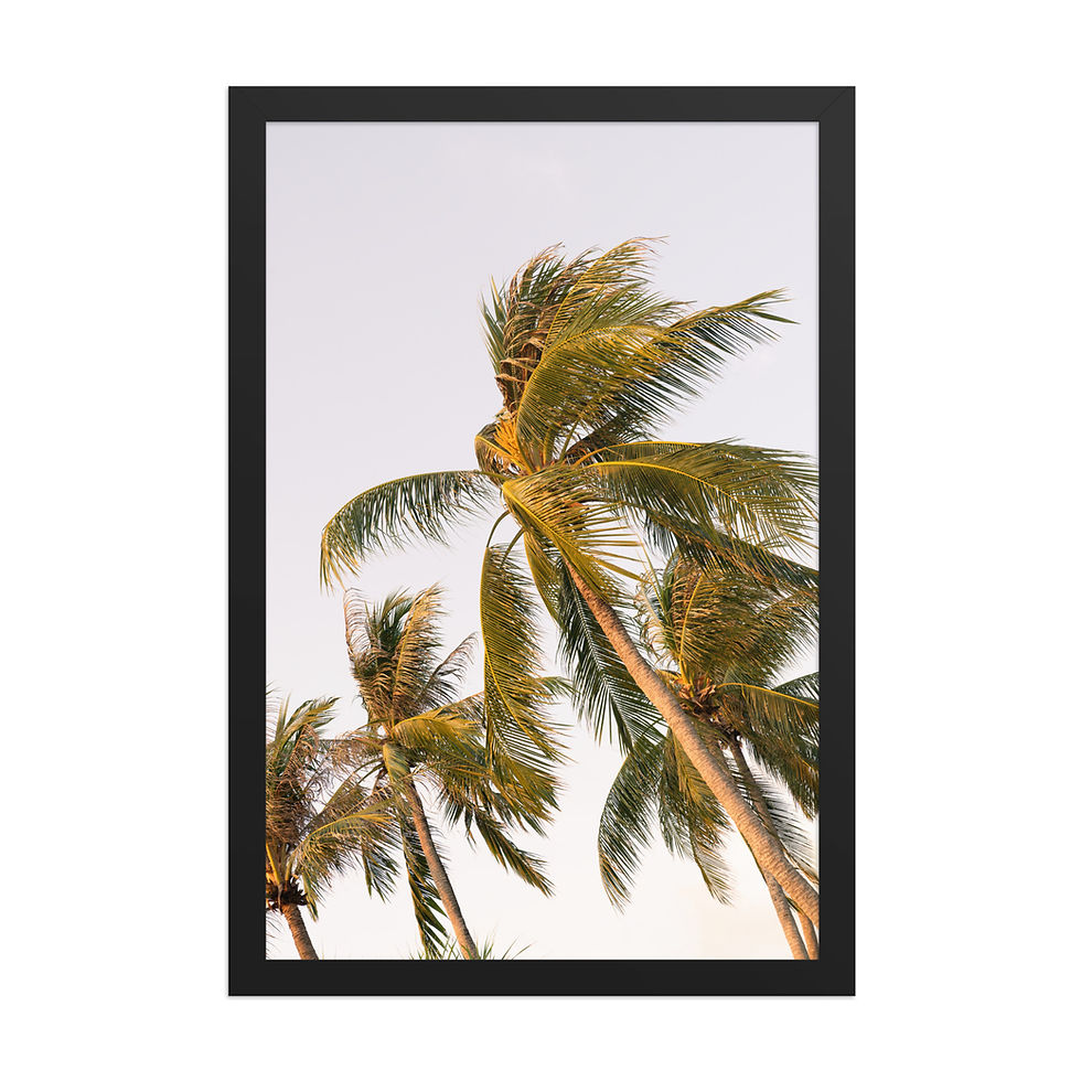 Thumbnail: Sunset Palms Art Print