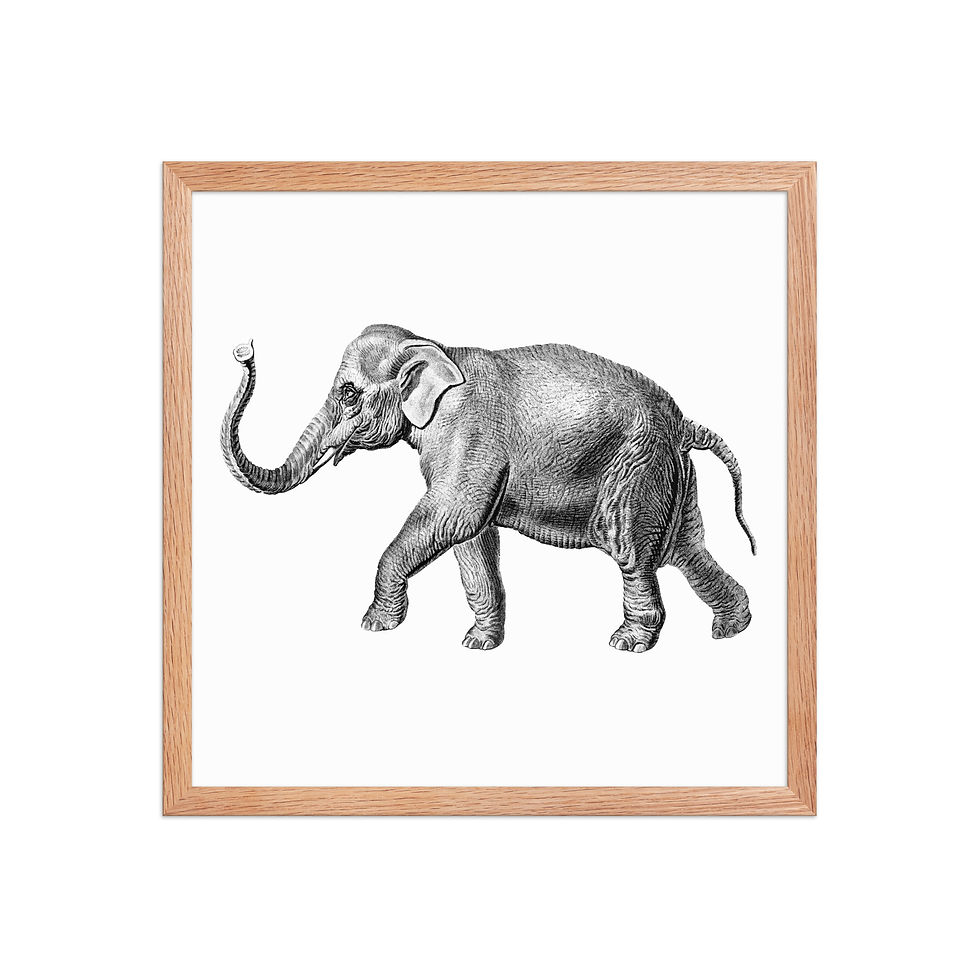 Thumbnail: Elephant | Framed Wildlife Art for Living Rooms