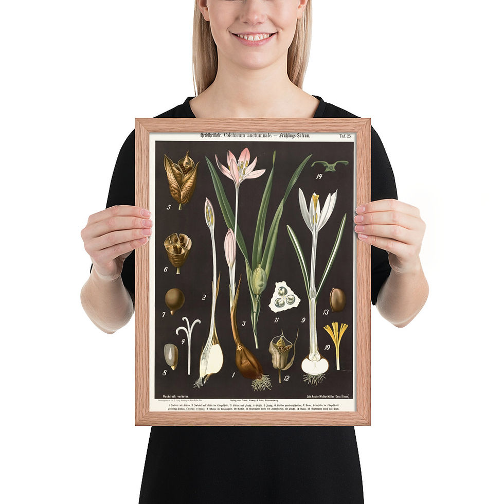 Thumbnail: Framed Botanical Illustrations - Stylish Wall Art for Home Decor