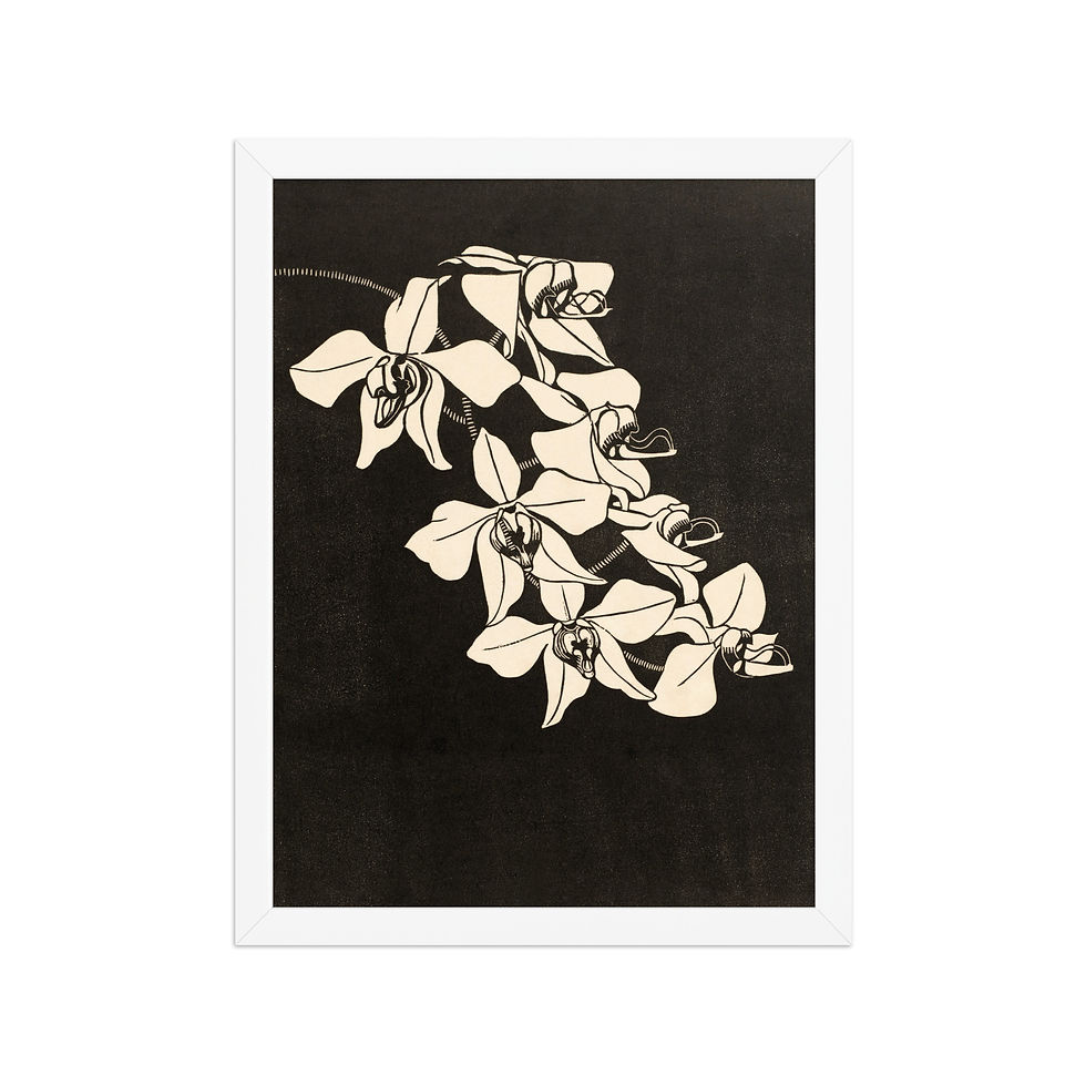 Thumbnail: Orchids | Samuel Jessurun de Mesquita