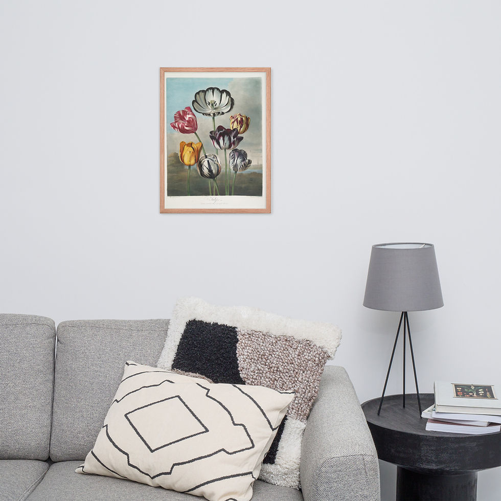 Thumbnail: Group of Tulips 1799-1807 Framed Wall Art