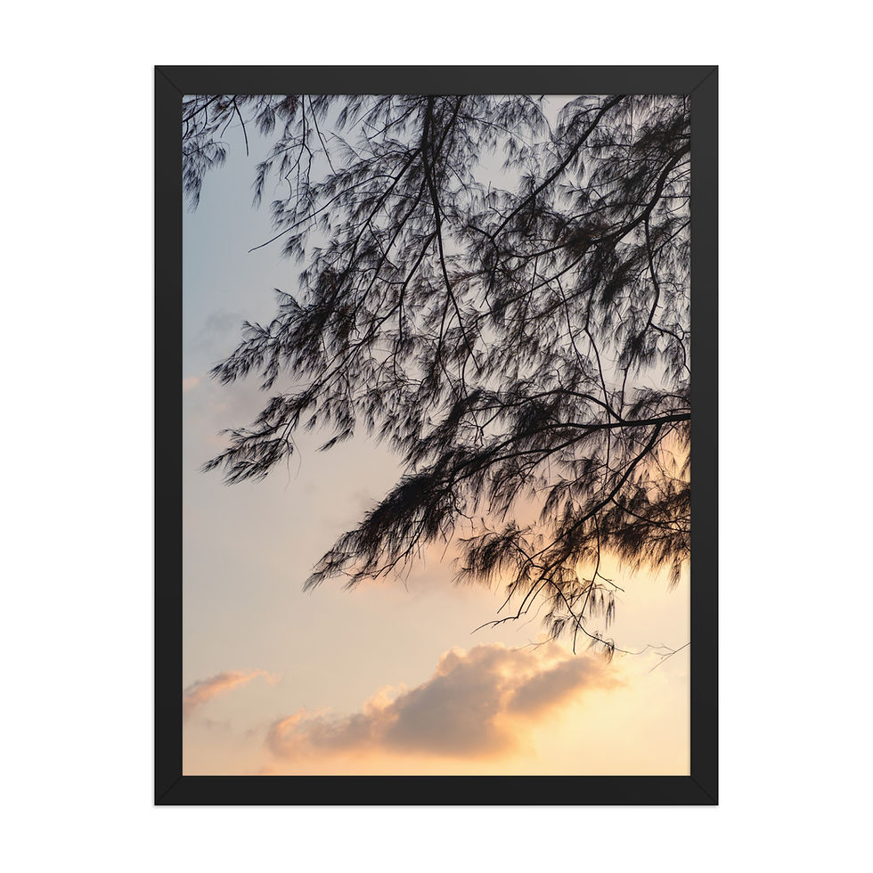 Thumbnail: Andaman Sunset Framed Beach Photography Wall Art