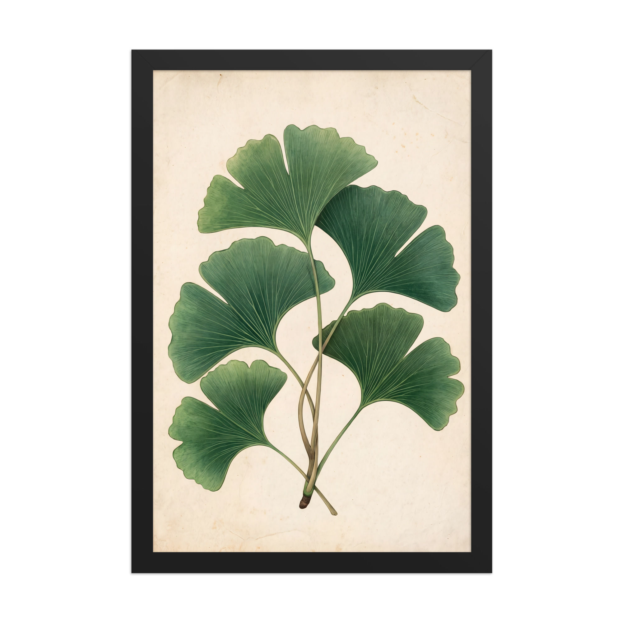 Green Ginkgo Leaves Framed Botanical Mega Print