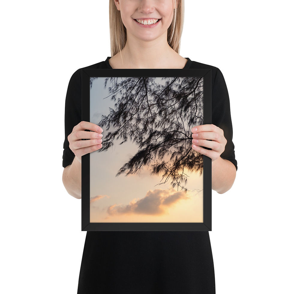 Thumbnail: Framed poster of a serene sunset with tree branches, sunset tree photography print in a black matte frame, framed wall art.
