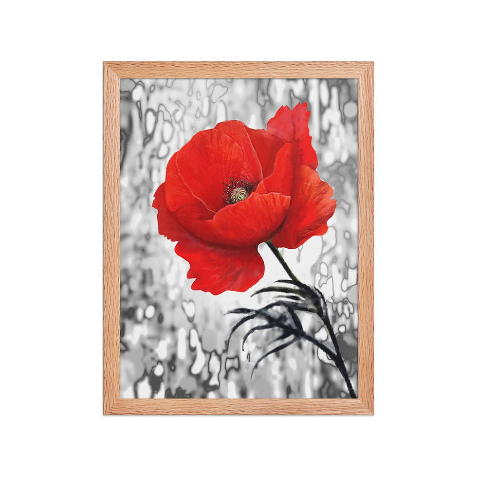 Red Rose framed poster with matte black frame, printed on thick matte paper, featuring a vibrant red poppy on a black and white background.