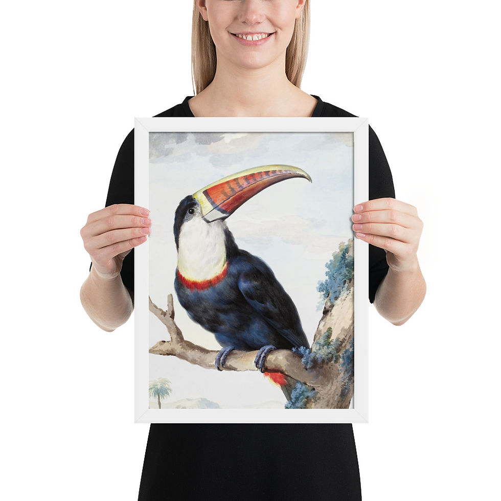 Thumbnail: Birds of Paradise Framed Art for Nature Decor