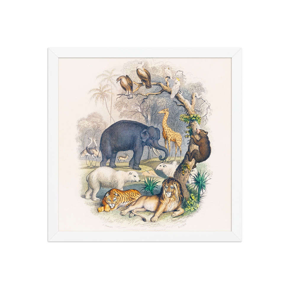 Thumbnail: Framed Wildlife Art for Living Rooms