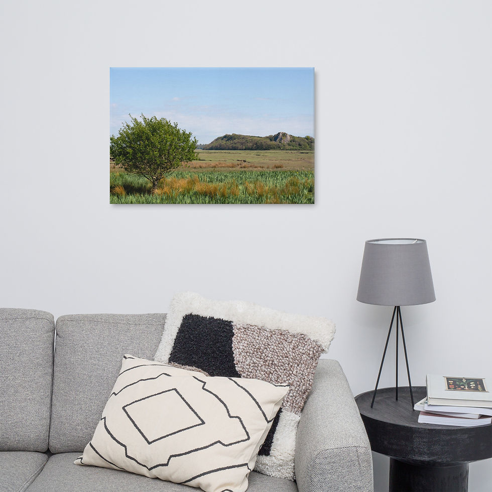 Thumbnail: Open Landscape Canvas | Solitary Tree Art | Rural Field Photography