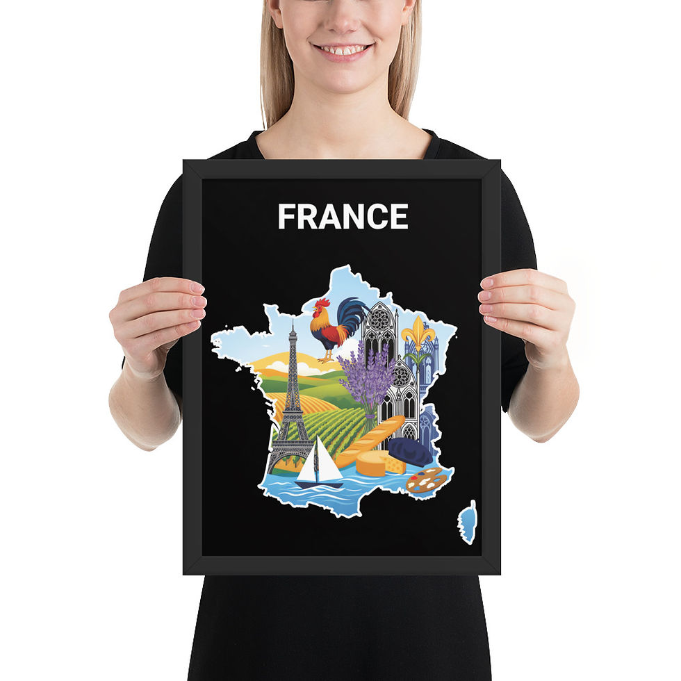 Thumbnail: Minimalist Map of France Framed Map Art