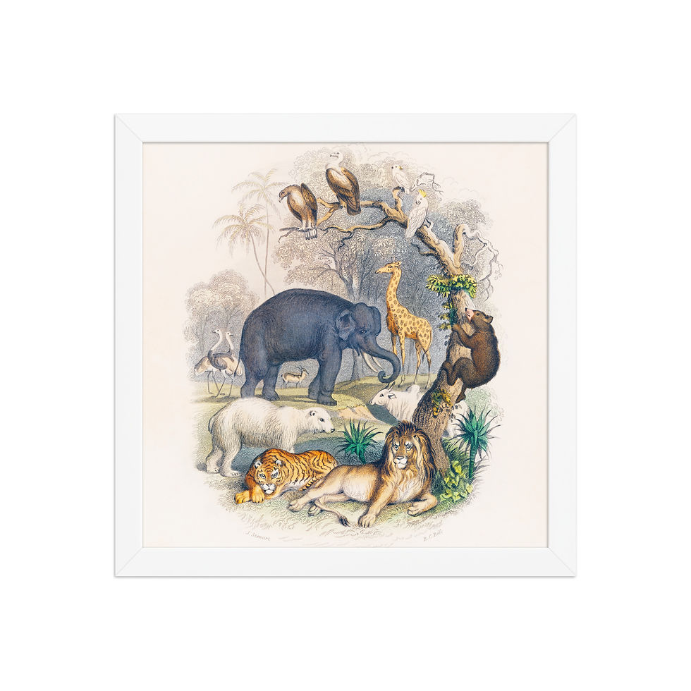 Thumbnail: Framed Wildlife Art for Living Rooms