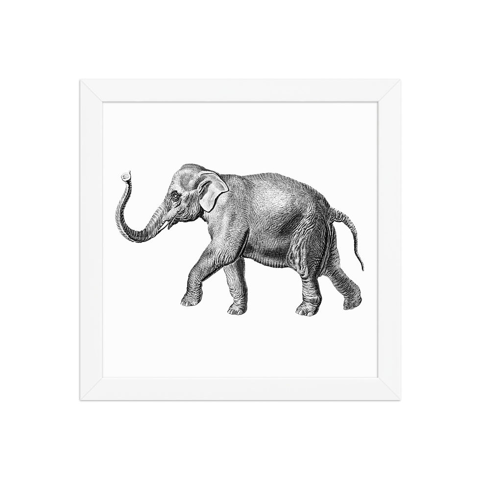 Thumbnail: Elephant | Framed Wildlife Art for Living Rooms