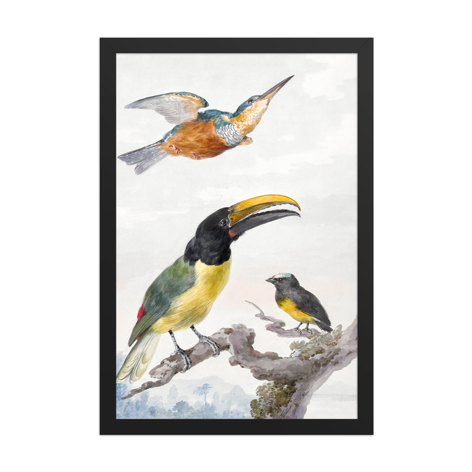 Framed print of a tropical toucan, kingfisher, and songbird, featuring vibrant plumage and delicate branch details, in a natural oak frame.