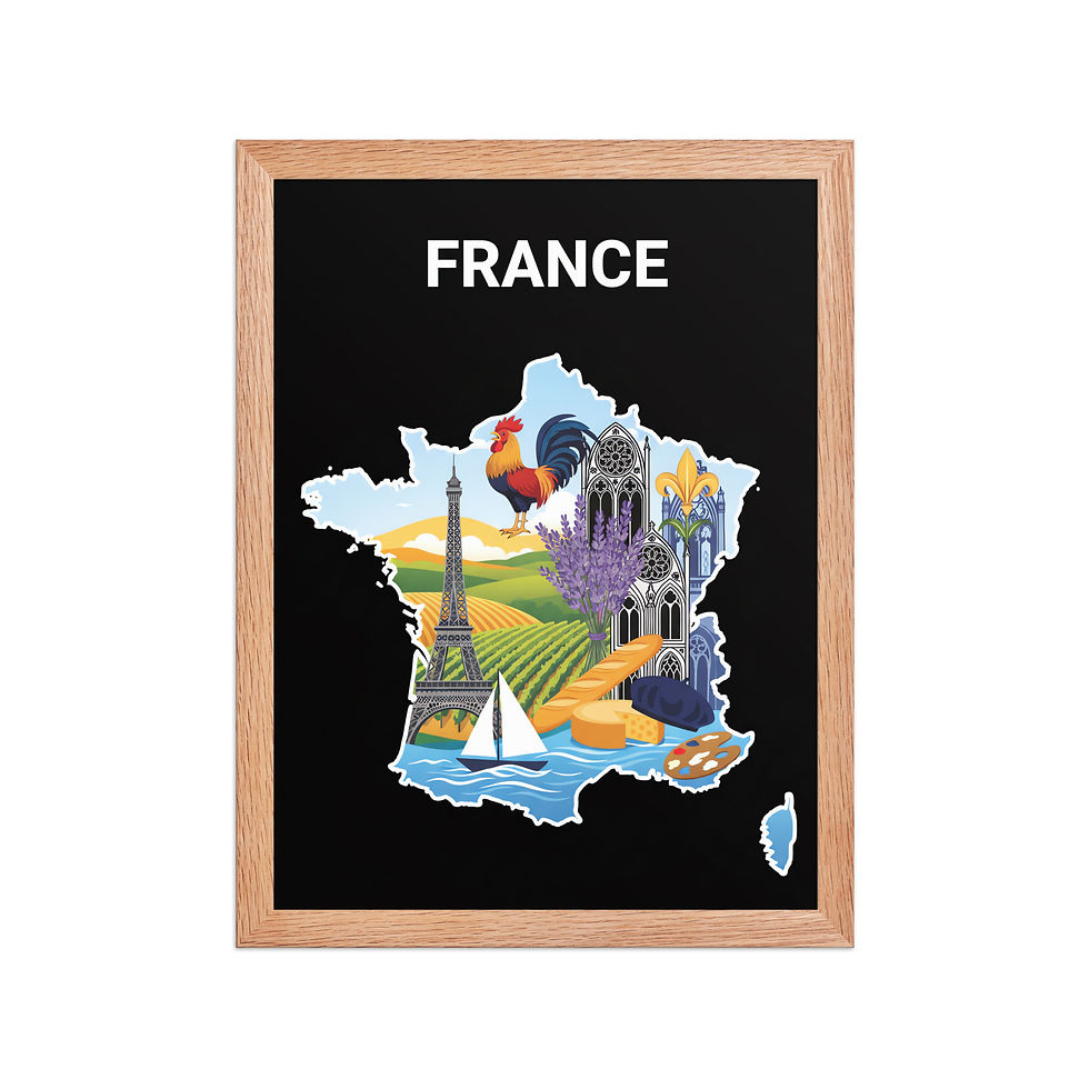 Thumbnail: Minimalist Map of France Framed Map Art