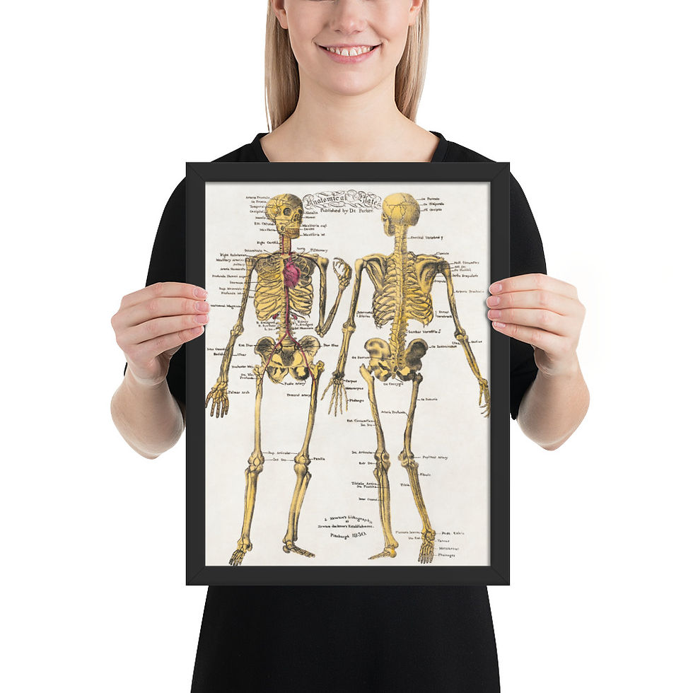 Thumbnail: Vintage Anatomical Chart Framed Art