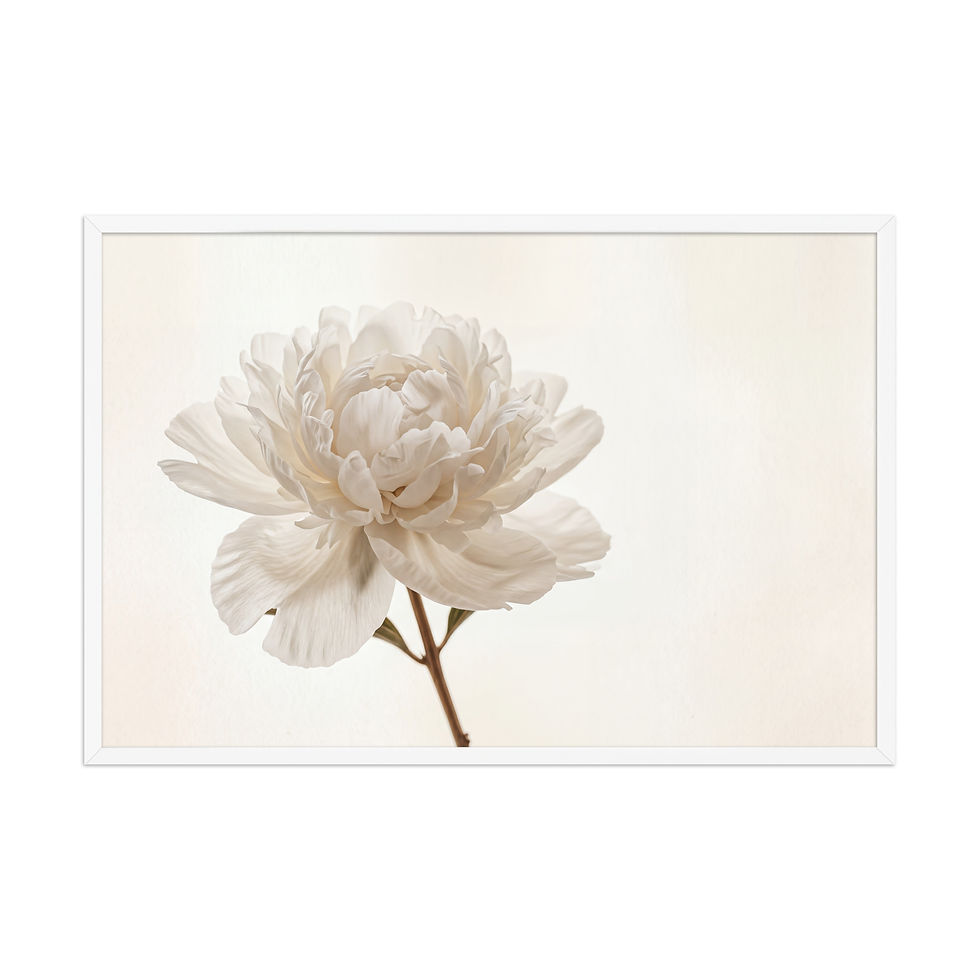 Thumbnail: Soft White Peony Flower Photography Print