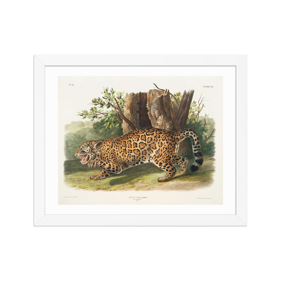 Thumbnail: Colorful Jungle Creatures Framed Art for Living Room