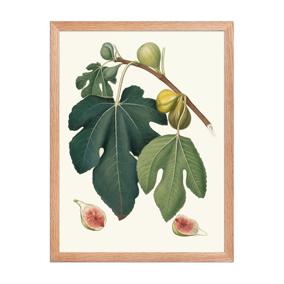 Thumbnail: Fico Pissaluto Framed Wall Art