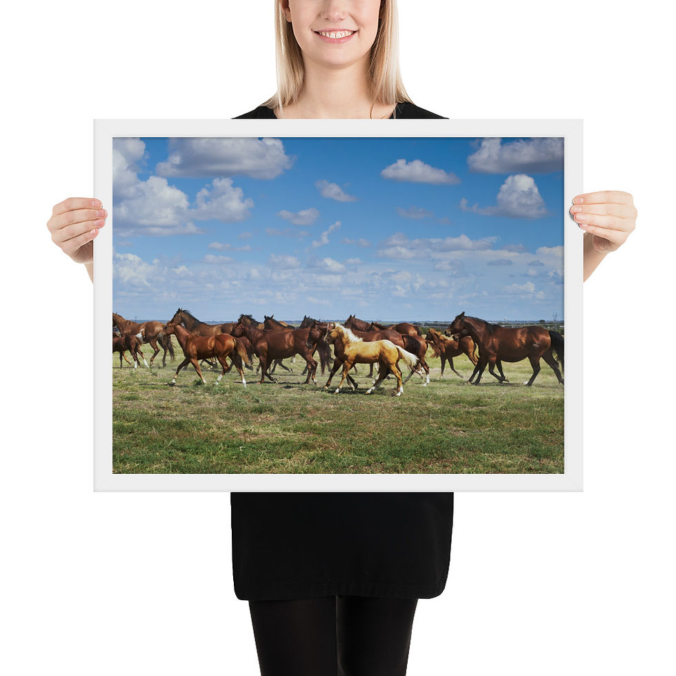 Thumbnail: Wild Freedom Wall Art: Galloping Herd