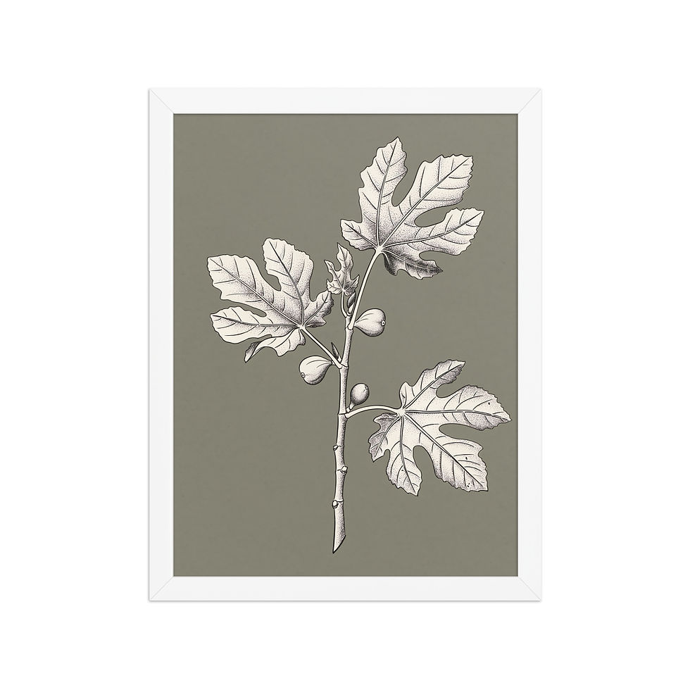 Thumbnail: Fig Leaves Framed Botanical Art Print