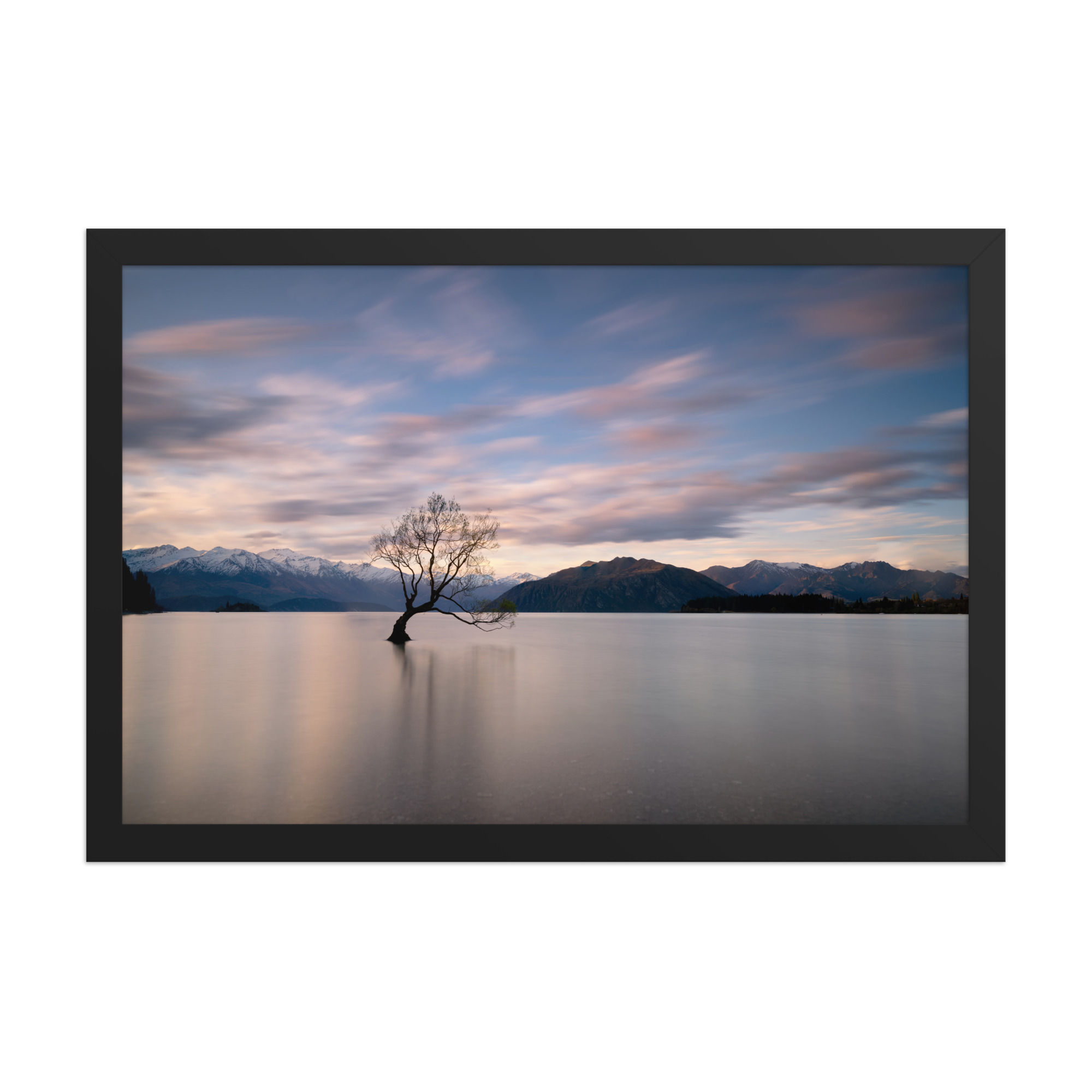 Wanaka Tree Print | New Zealand Lake Landscape Photography Wall Art