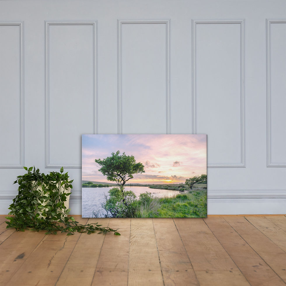 Thumbnail: Sunset at Broad Pool, Gower Canvas Print