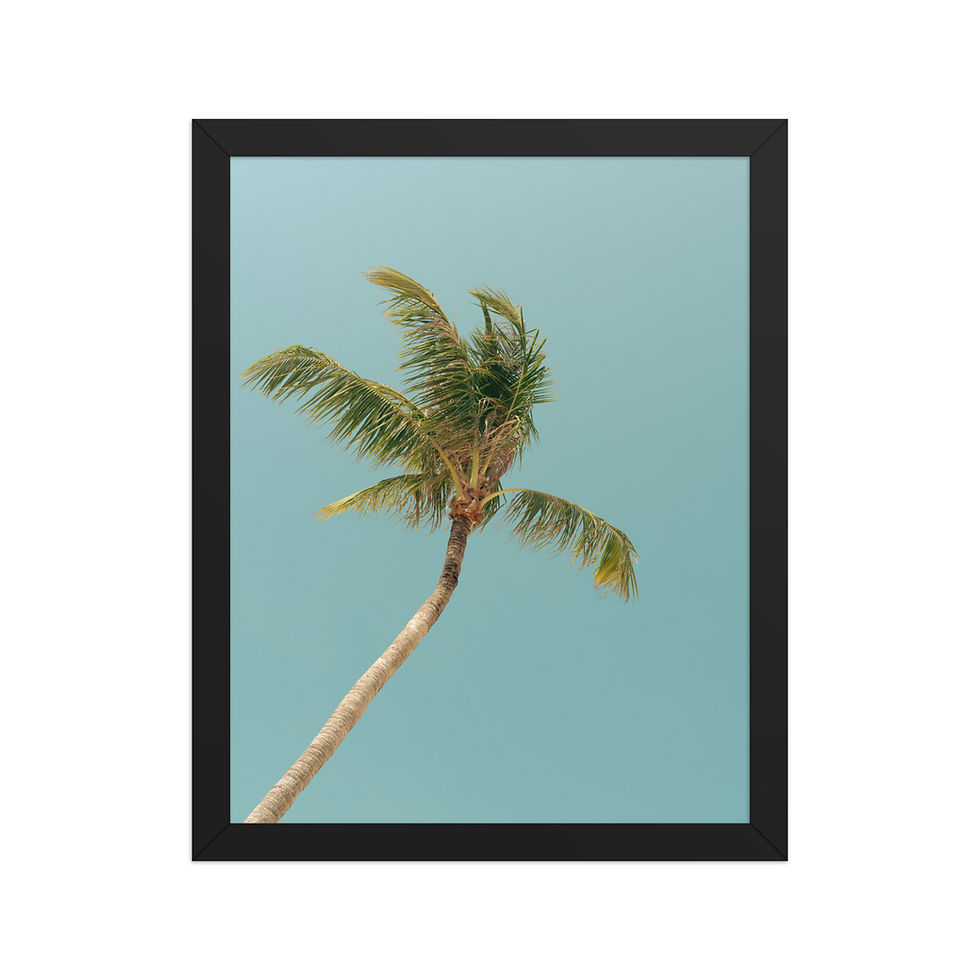 Lone Palm Photography Print in black frame, featuring a single palm tree against a teal background, framed wall art for home decor.