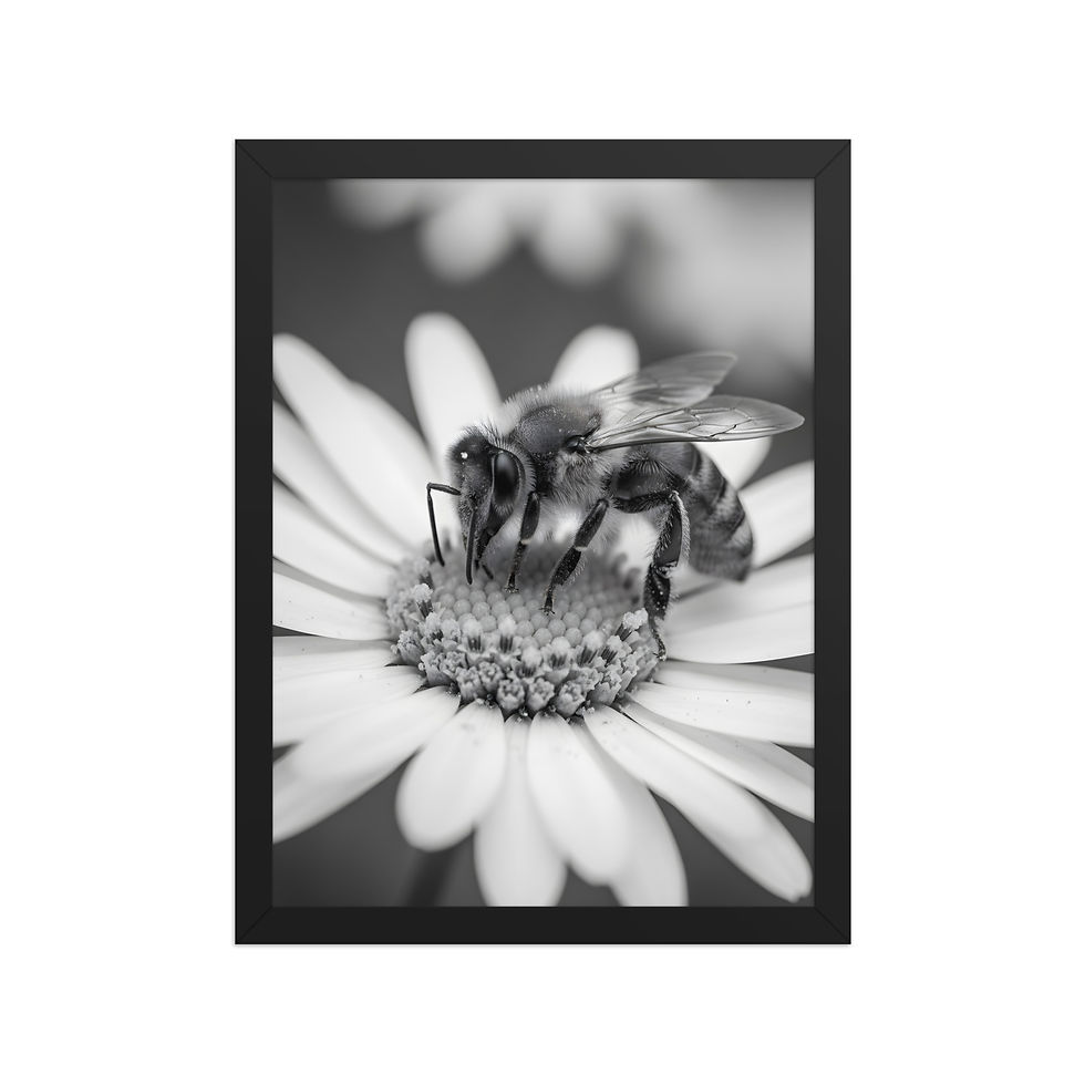 Thumbnail: Honeybee Monochrome Framed Wall Art