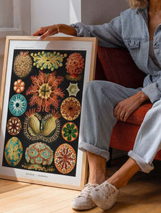 Ernst Haeckel: the scientist-artist who made nature into art (and art into science)