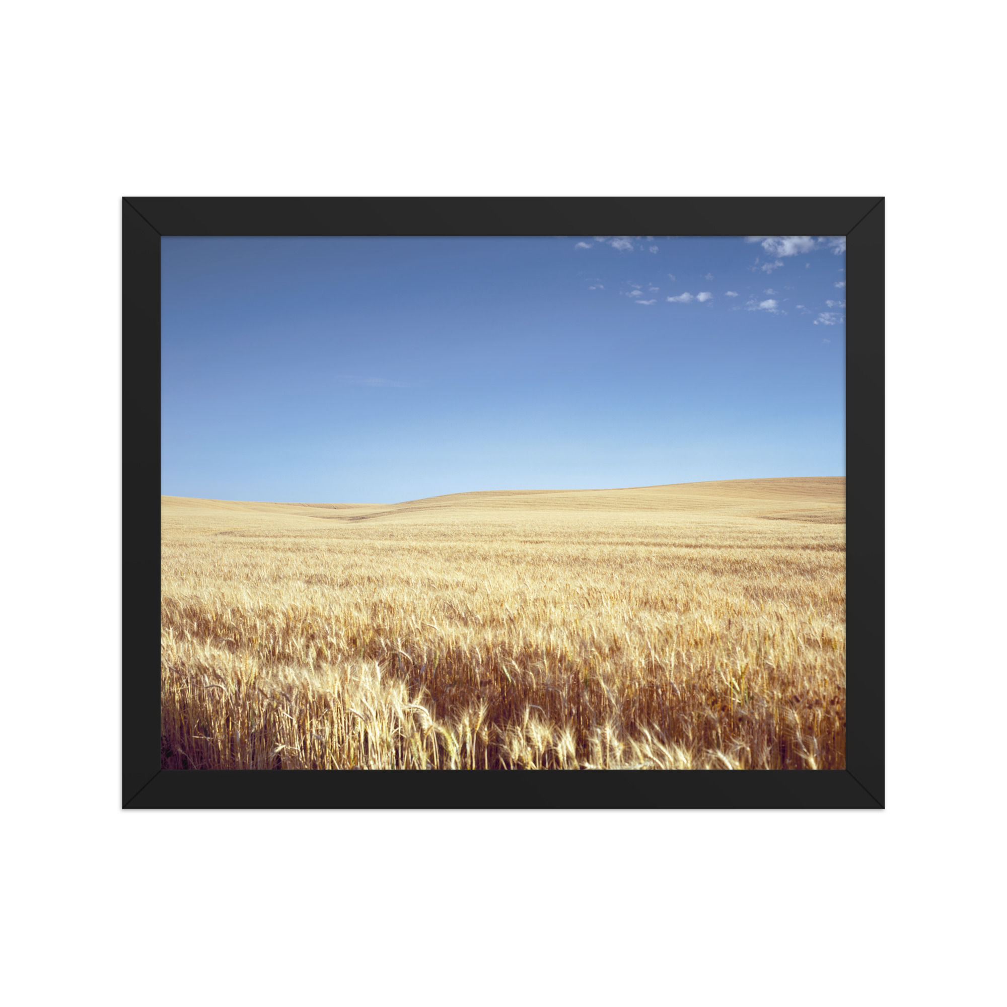 Golden Fields Framed Wall Art for Rustic Charm