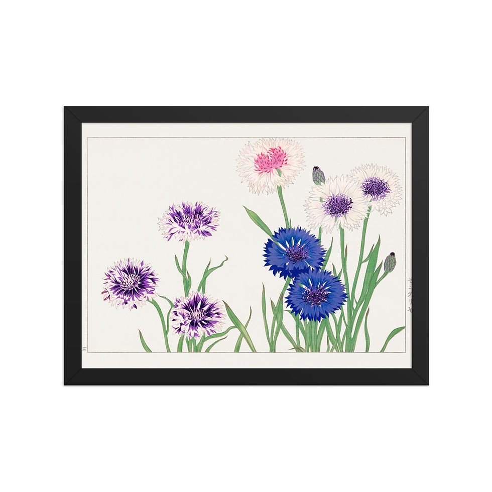 Thumbnail: Cornflower, Japanese woodblock art by Tanigami Konan