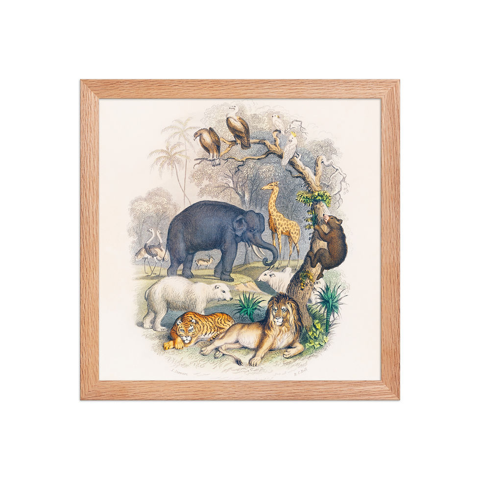 Thumbnail: Framed Wildlife Art for Living Rooms