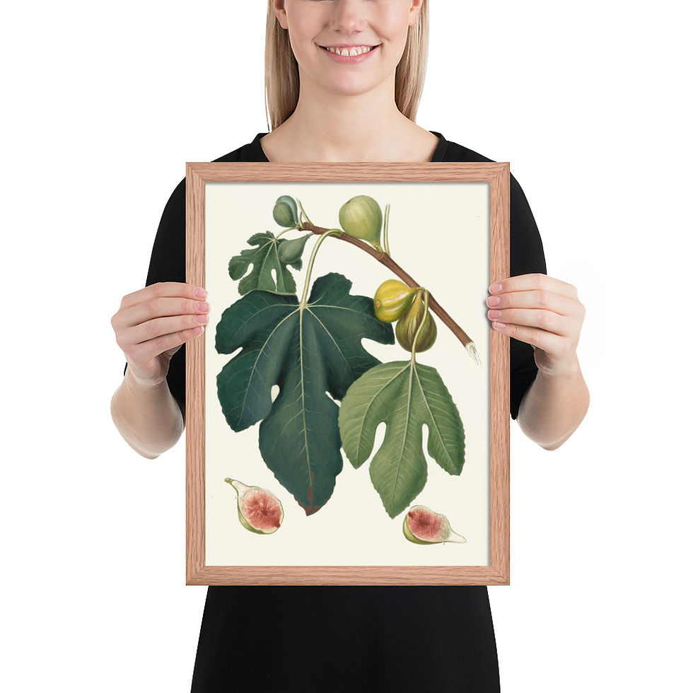 Thumbnail: Fico Pissaluto Framed Wall Art