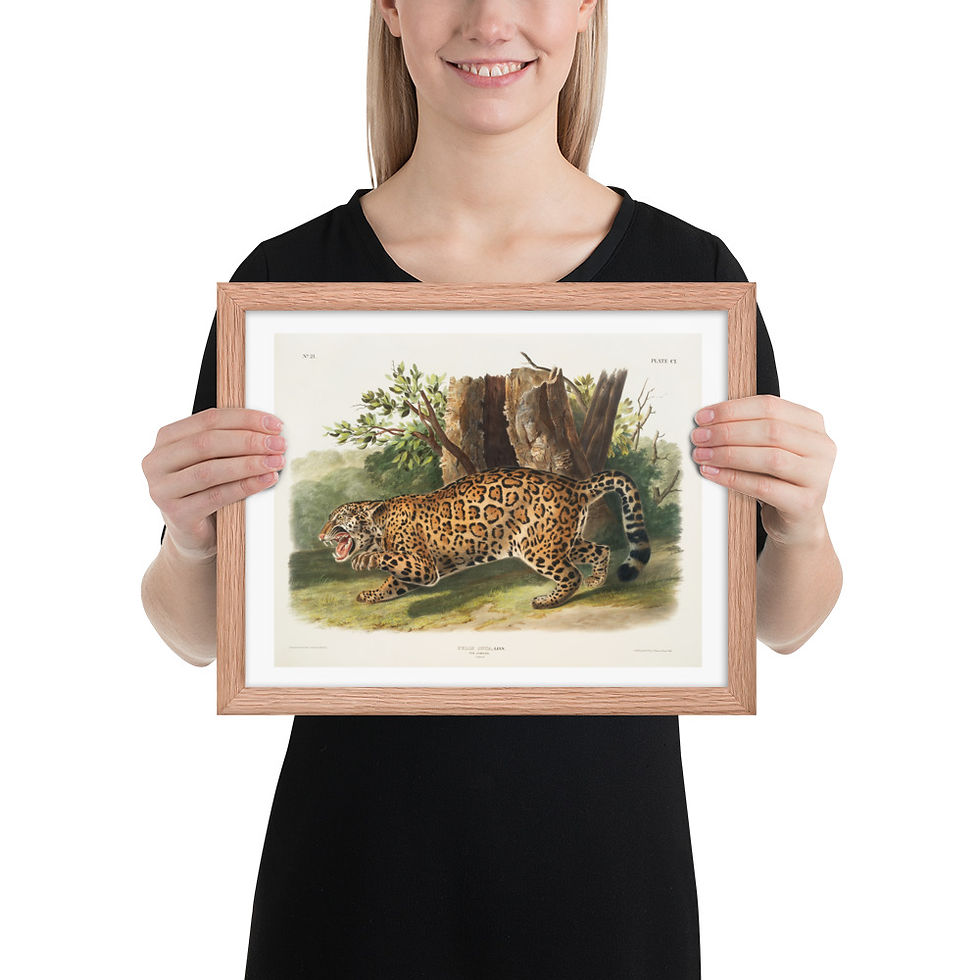 Thumbnail: Colorful Jungle Creatures Framed Art for Living Room