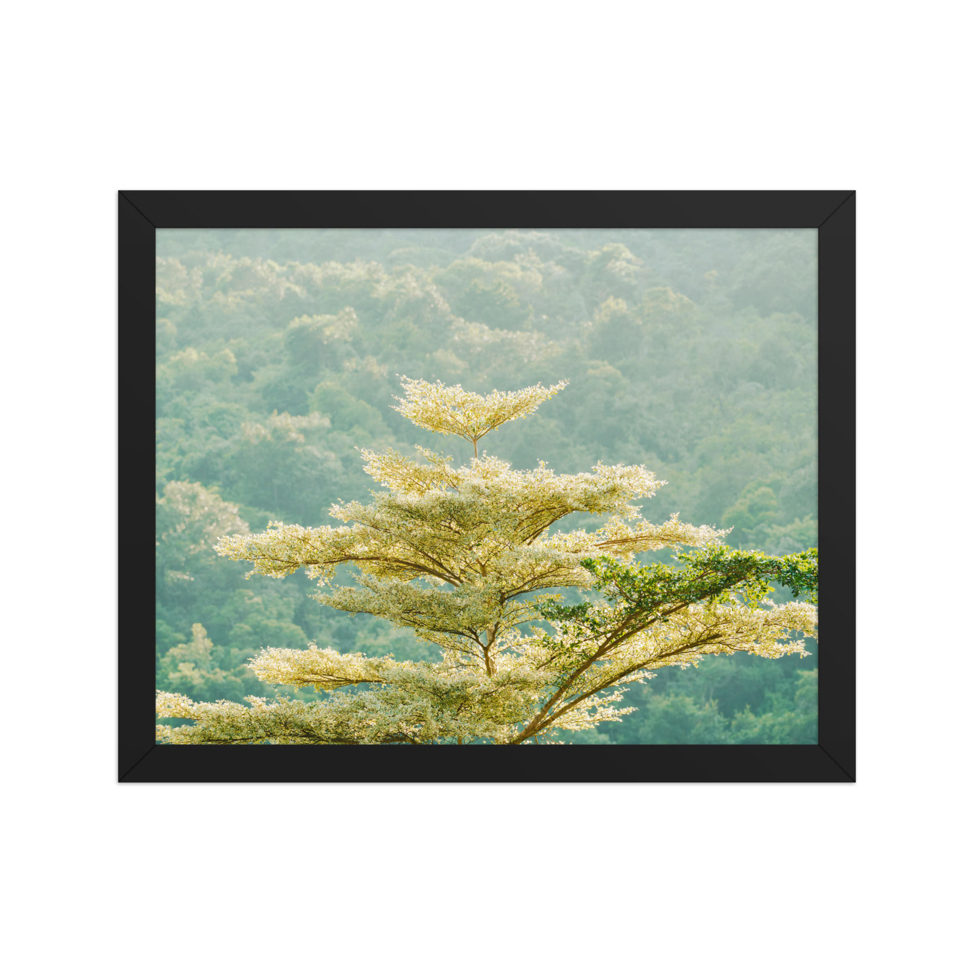 Verdant Harmony Wall Art: Nature's Canopy