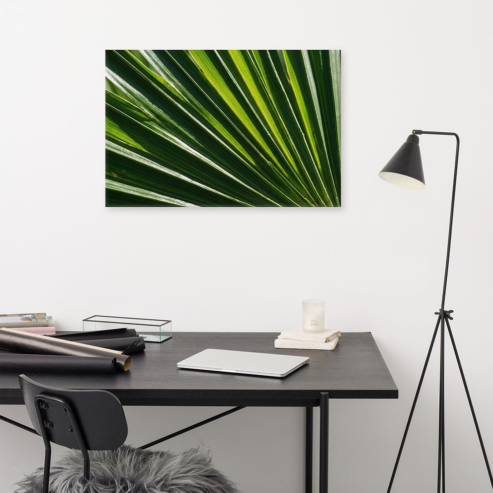 Thumbnail: Palm Frond Fan Canvas Print – Tropical Botanical Close-Up