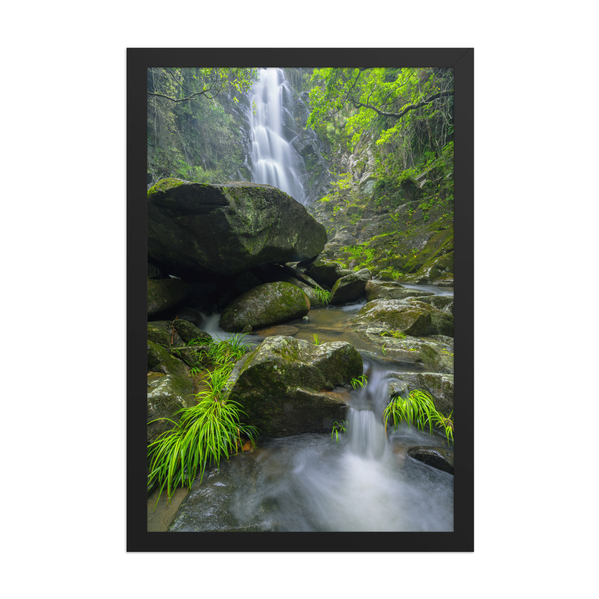 Rainforest Waterfall Print | Nature Landscape Photography Wall Art