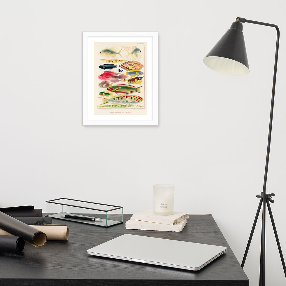 Thumbnail: Great Barrier Reef Fishes Australian Framed Wall Art by Frameifi, colorful framed poster showing various fish species, framed art for home or office decor.