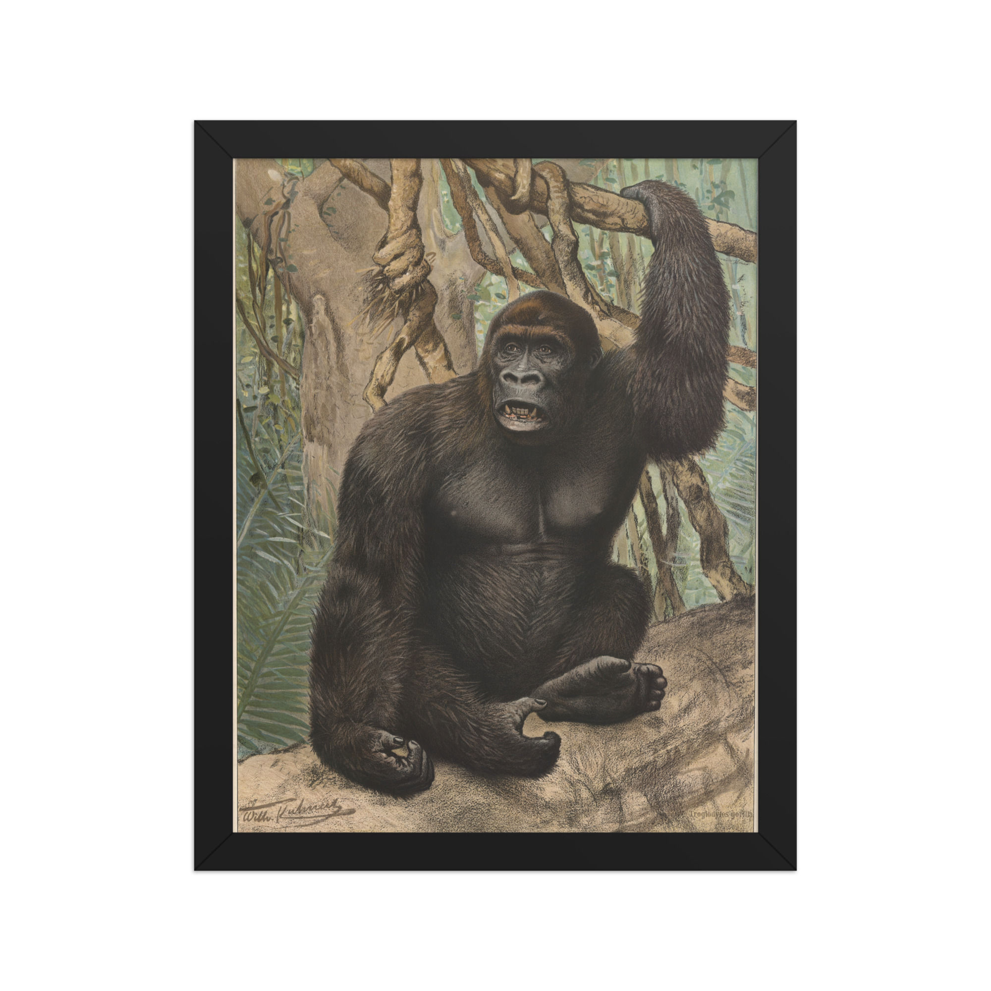 Framed Majestic Gorilla portrait, silverback against vines, by Frameifi, in a classic wood frame with Acrylite, a beautiful framed wall art print.