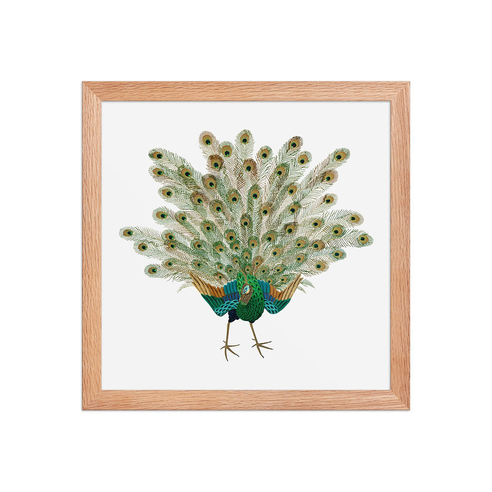 Thumbnail: Peacock | Framed Bird Art for Elegant Interiors | Vibrant Feather Wall Decor